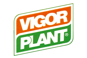 vigorplant
