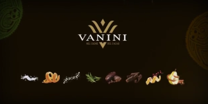 Vanini