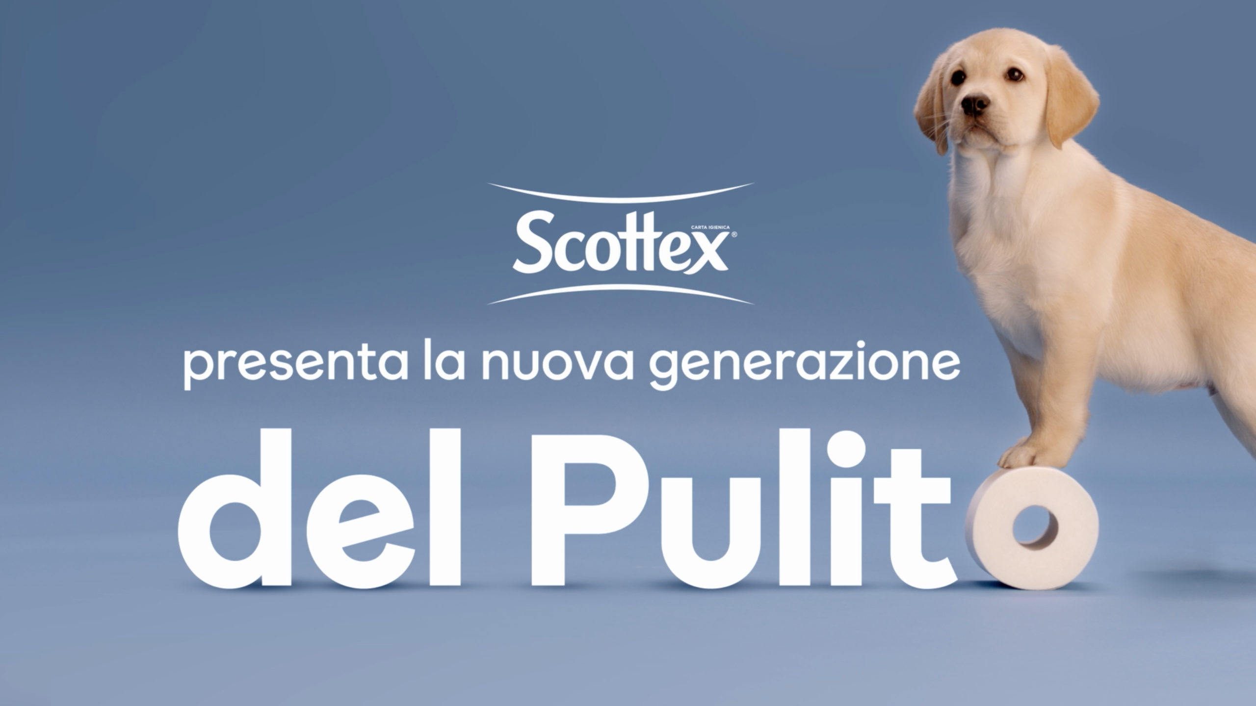 Fcb Partners firma il nuovo capitolo della comunicazione Scottex per  l'Italia - PUBBLICOMNOW